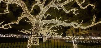 Whether you are hanging festive lights for the holidays or installing lighting around your. Christmas Oaks St Charles Ave New Orleans Pics