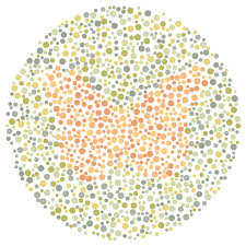 If you see what is written here, you are likely to be a colorblind. Kiga Panosundaki Pin