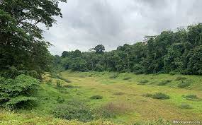 The last 300m towards hillview mrt was muddy. Walking The Rail Corridor Exploring The Clementi Forest Old Bukit Timah Railway Station Little Day Out