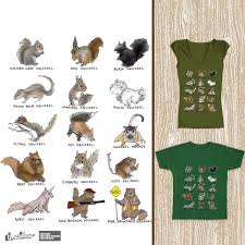 Score Squirrel Species Chart By Alice J On Threadless