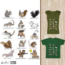 score squirrel species chart by alice j on threadless