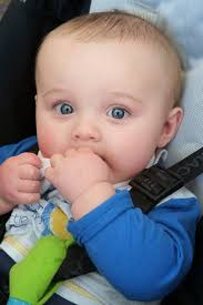 The Max Pike Remembrance Fund