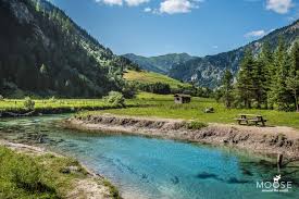 We did not find results for: Von Alm Zu Alm 10 Wandertipps Fur Deinen Familienurlaub Im Grossarl Tal