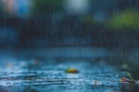 Image result for rainy