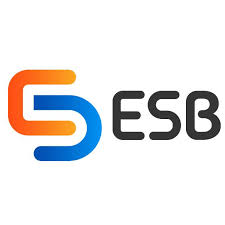 PT Esensi Solusi Buana