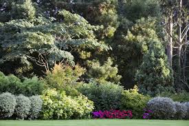 Check spelling or type a new query. 38 Clever Backyard Shrub Garden Ideas Home Stratosphere