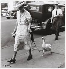 Ruth Jacobi Berlin 1928 Vintage Photos Vintage Photography Photo