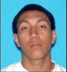 SIU Officer Gibbs contacted Edwin and Guimbel Mendoza during a parole  search of their residence. During the search, approximately 20 grams of  cocaine, promethazine and a sawed off shot gun were seized.