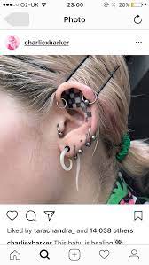 Pin By Rnnbowkissd On I N K Earings Piercings Ear Piercings Cute Piercings