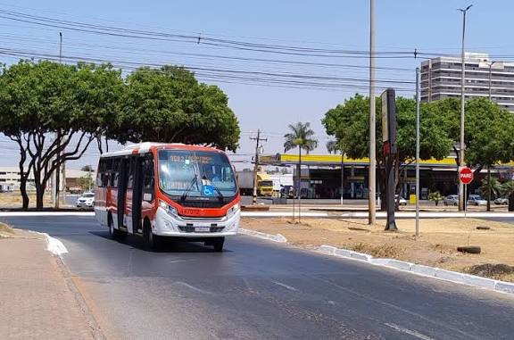 Taguatinga terá duas linhas com ônibus Zebrinha | Jornal de Brasília