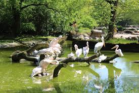 Find the travel option that best suits you. Tierpark Hagenbeck Hamburger Zoo
