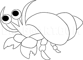 And one more pair of legs how to draw a crab turned away from us: How To Draw A Hermit Crab Step By Step Drawing Guide By Dawn Dragoart Com