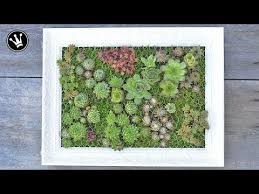 Diy Mit Sukkulenten Bepflanzter Bilderrahmen Vertikaler Garten Hangender Garten Youtub Hangender Garten Vertikaler Garten Krautergarten Palette