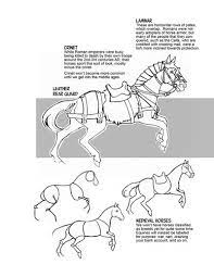 Pin On Horse Drawing