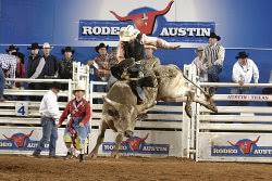 Escape the urban throng and get up close and personal with botanicals and beasts at this zilker park oasis. Rodeo Austin Bull Riding Dog Show Petting Zoo Travis County Convention Center In March Rodeos In Texas Bull Riding Texas