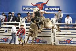 Escape the urban throng and get up close and personal with botanicals and beasts at this zilker park oasis. Rodeo Austin Bull Riding Dog Show Petting Zoo Travis County Convention Center In March Rodeos In Texas Bull Riding Texas