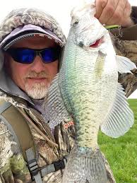 Texas Size Crappie Baits for Big Crappie