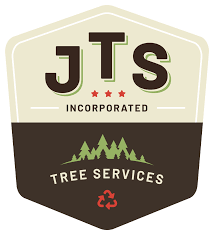 Check spelling or type a new query. Tree Service In Nipomo Ca Jts Inc