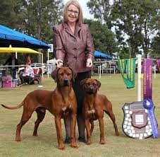 We did not find results for: Chilolo Rhodesian Ridgeback Breeder Toowoomba Qld