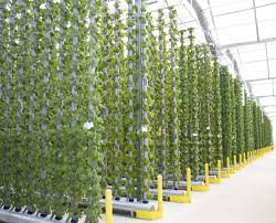 Commercial Hydroponic Greenhouse Systems Eden Green Technology