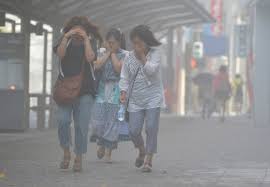 「桜島」の画像検索結果