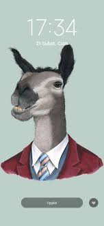 Yunuscan Akgun Adli Kullanicinin A Panosundaki Pin 2020