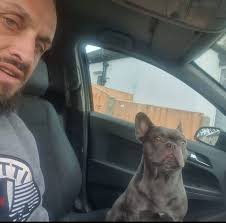 Find a Trade websites & fake reviews 🙈