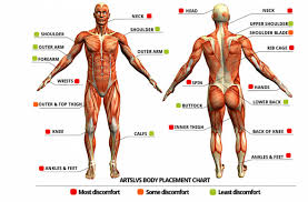 Tattoo Pain Chart How Much Will It Hurt Wild Tattoo Art