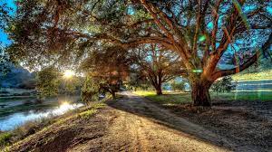 Fantasy wallpapers, background,photos and images of fantasy for desktop windows 10 macos, apple iphone and android mobile. Ultra Hd 8k Resolution 7680x4320 Natures Miracle 8k Wallpaper Hdwallpaper Desktop Arte Da Paisagem Livros De Nutricao Fotografia Da Natureza