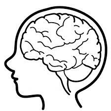 Our main resource is children's audio stories , which are intended for children in the preschool and early elementary age range, but older kids seems to really. Simple Drawing Of The Brain Novocom Top