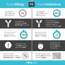 Do I Have A Food Allergy Or Food Intolerance Yorktest