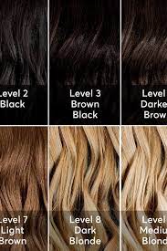 A Hair Color Chart To Get Glamorous Results At Home Hair Color Chart Madison Reed Hair Color Loreal Hair Color Chart