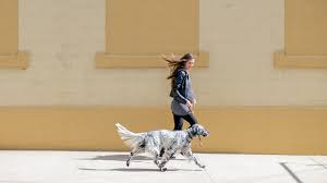 Walking During Pregnancy Pelvic Pain Benefits And More