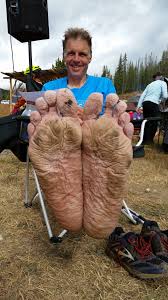 Boulder Mountain lupines.