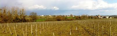 Elle rappelle que les dossiers de candidature devront être déposés à l'arcep. Appels De Candidatures Cessions Ou Substitutions De La Safer Pays De Loire