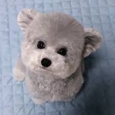 Cuuuuute Video In 2020 Cute Animals Baby Animals Funny Cute Dogs And Puppies