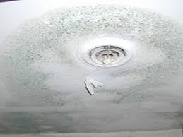 Tenants and landlords should try to work cooperatively to investigate and correct moisture problems and remove mold growth. Mold In Rental Housing Eh Minnesota Department Of Health