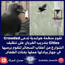 Pin On دراسات