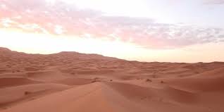 Maybe you would like to learn more about one of these? How To Stop The Sahara Desert