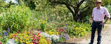 Vom Leben Und Sterben Der Baume