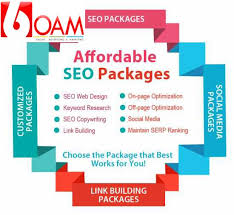 If You Looking Cheap Seo Packages In Delhi India To Increase Your Business Roi 6oam Provide Best And Competitive Seo Seo Packages Affordable Seo Seo Services
