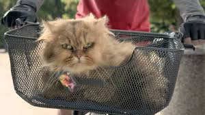 Ge Money Bank Nova Kampan Na Bezny Ucet Genius Free Flexi Youtube