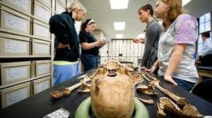 Osmanlı ordusunun en büyük tokatçıları başıbozuk (delibaş) diye adlandırılan bir düzensiz ordudur. Osmanli Tokadi Yemis Kafatasi Gercek Mi