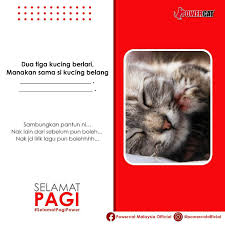 Panda tempang pergi berlayar pandai hutnag tak pandai membayar. Dua Tiga Kucing Berlari Powercat Malaysia Official Facebook