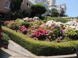 The open ticket can be used within a year of purchase, allowing you flexibility, especially with multiple. Lombard Street San Francisco The Crookedest Street In The World