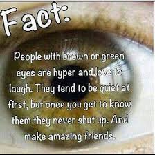 It is called let's pretend this never happened: Funny But True Facts Home Facebook