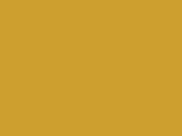 Check out our cognac camel tan selection for the very best in unique or custom, handmade pieces from our shops. Camel Tan Metallic 63 1978 Touch Up Paint For 1978 Buick All Models Paintscratch Com