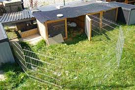 Gartengehege bauen kaninchen freilaufgehege kaninchen kaninchen au engehege und kaninchen. Ganz Einfache Gehege