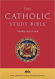 Utilizes sacred scripture, the catechism of the catholic church, church and papal documents, church fathers, ancient jewish sources, ancient and modern catholic biblical commentaries, and historical and. Amazon Com The Catholic Study Bible 9780190267230 Senior Donald Collins John Getty Mary Ann Books