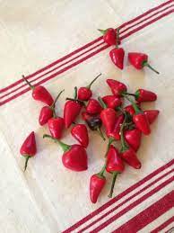 This is a great thin walled drying pepper that has plenty of heat and a nice broad flavour. Facing Heaven Peppers And A New Hot Sauce Cathy Barrow